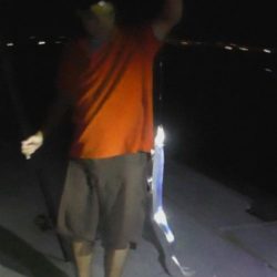 アオリイカと太刀魚好調